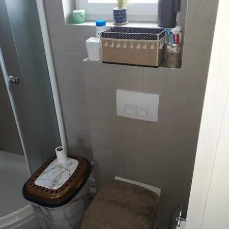 Tanja Raj 公寓 Vrnjačka Banja